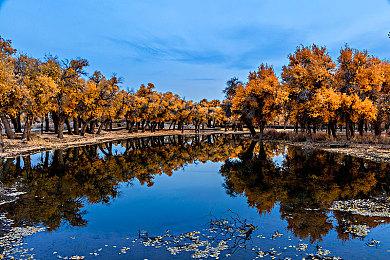 交互视觉小说游戏《圣殿THE TEMPLE》Steam页面 发售日待定